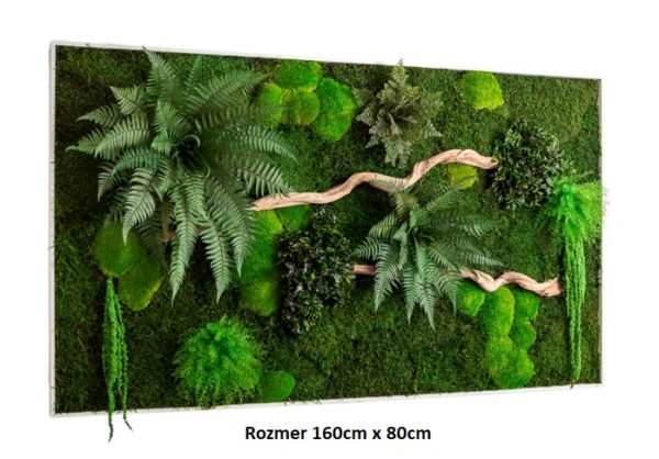 Machový obraz - rastliny, mach a drevo - 160 x 80