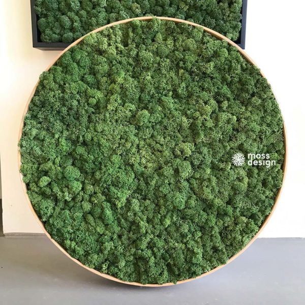 Kruhový machový obraz - Moss Green 54 - 45cm