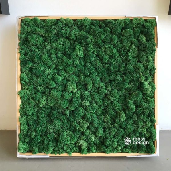 Machový obraz - Lišajník - Grass Green 78