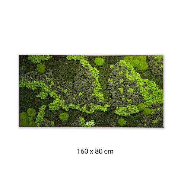 Machový obraz EARTH 160 x 80 cm Mossdesign