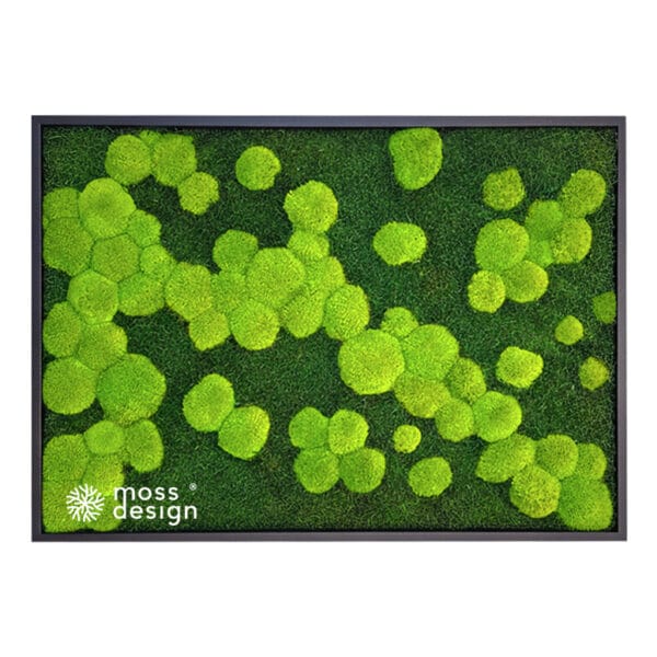 Machový obraz - Hills and land